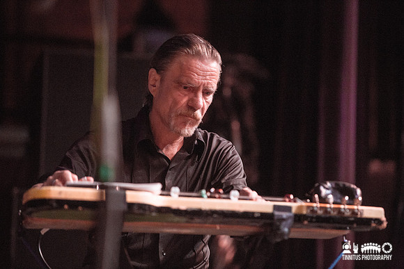 Swans in concert