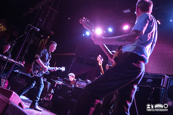 Swans in concert