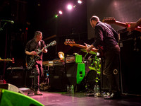 Swans in concert