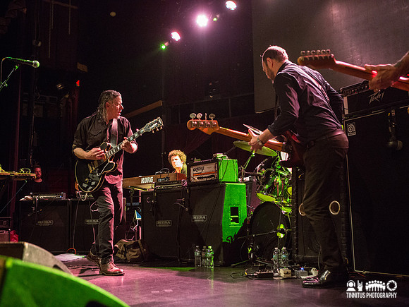 Swans in concert