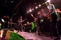 Swans in concert