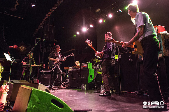 Swans in concert