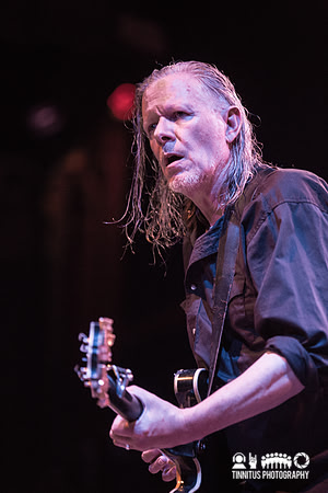 Swans in concert