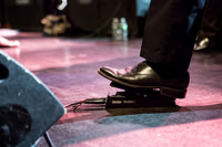 Swans in concert