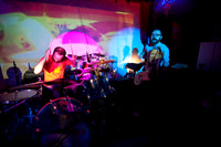 The Human Tail in concert