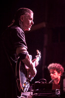 Swans in concert