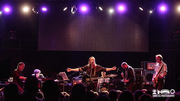 Swans in concert