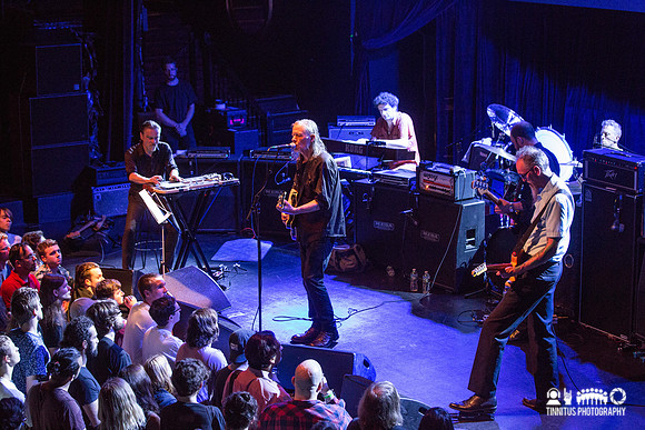 Swans in concert
