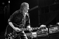 Swans in concert
