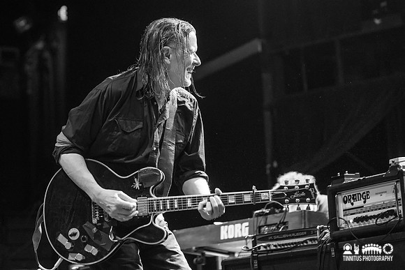 Swans in concert