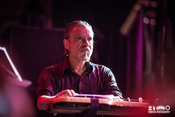 Swans in concert