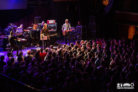 Swans in concert
