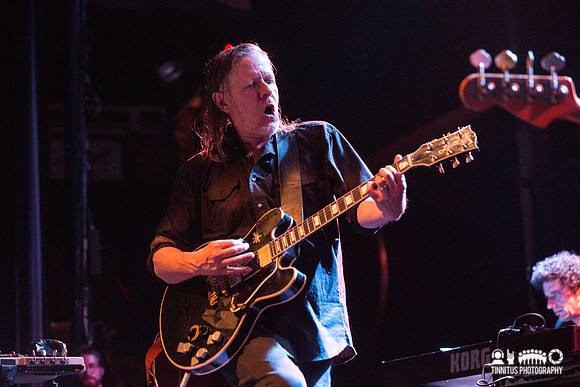 Swans in concert