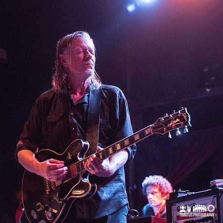 Swans in concert
