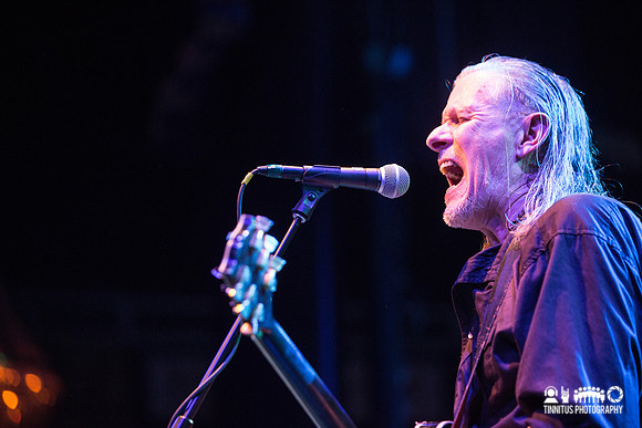 Swans in concert