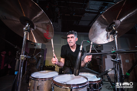 Shellac in concert