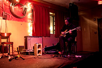 Barn Owl in concert