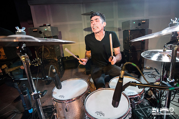 Shellac in concert