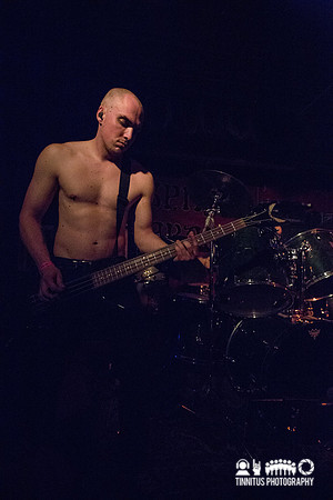 Pilgrim in concert