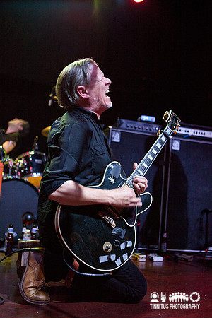 Swans in concert