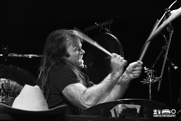 Swans in concert