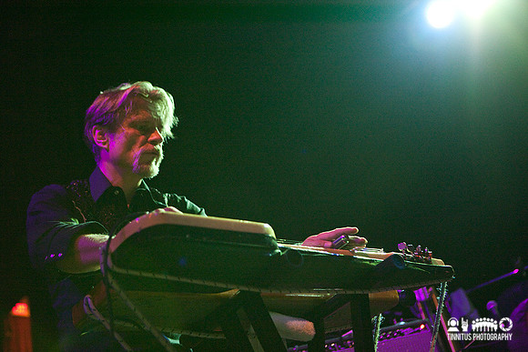 Swans in concert