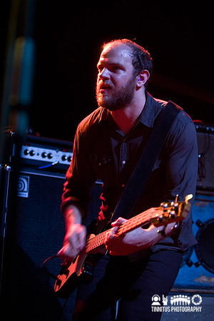 Swans in concert