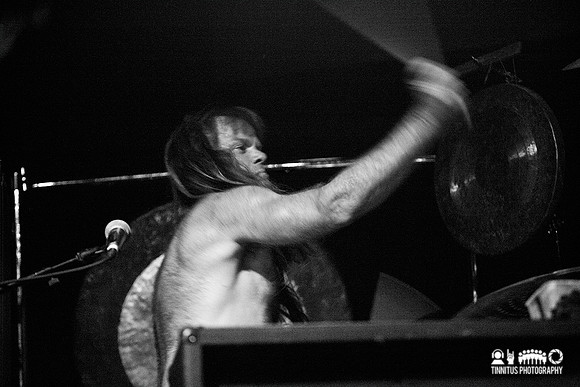 Swans in concert
