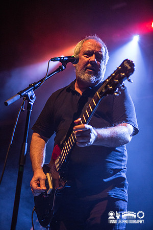 Buzzcocks in concert