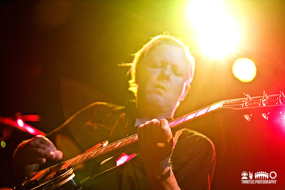 Swans in concert