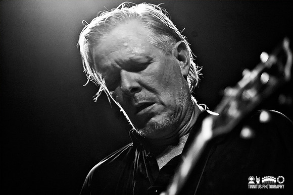 Swans in concert