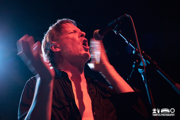 Swans in concert