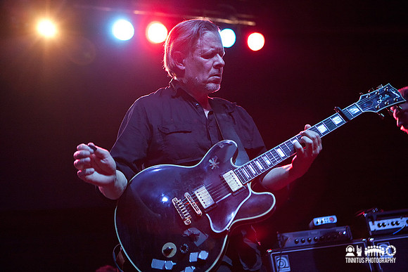Swans in concert