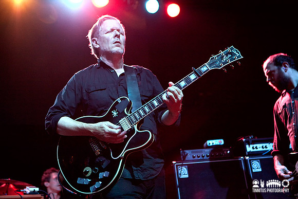 Swans in concert