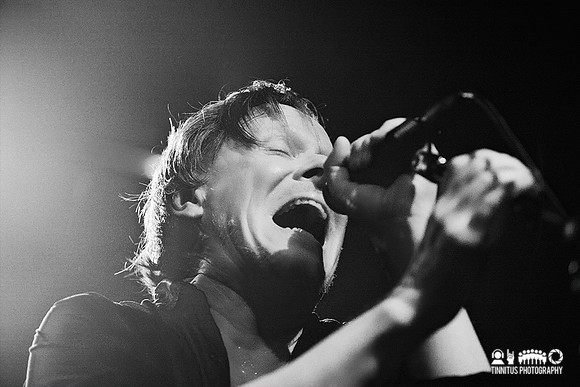 Swans in concert