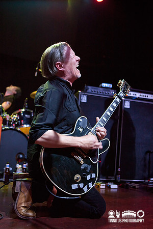 Swans in concert