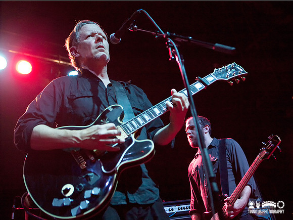 Swans in concert