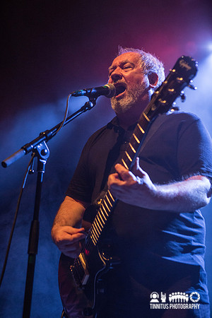 Buzzcocks in concert