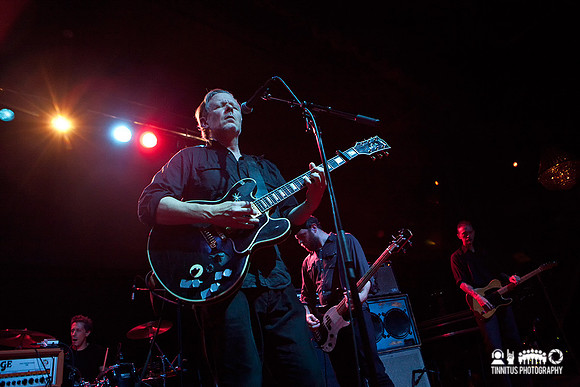 Swans in concert