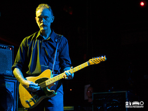 Swans in concert