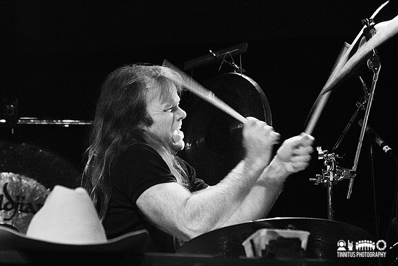 Swans in concert