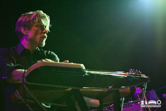 Swans in concert