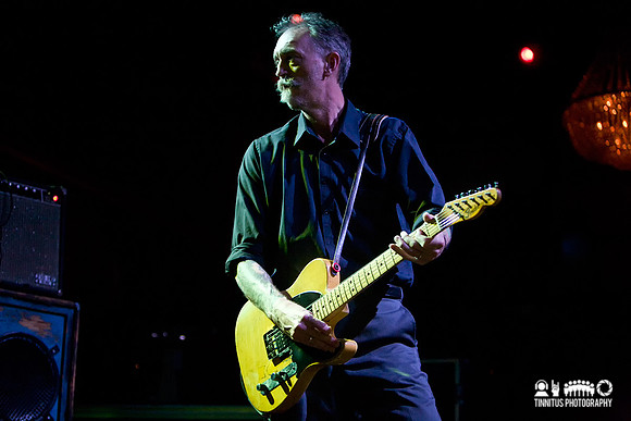 Swans in concert