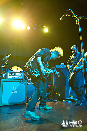Swans in concert