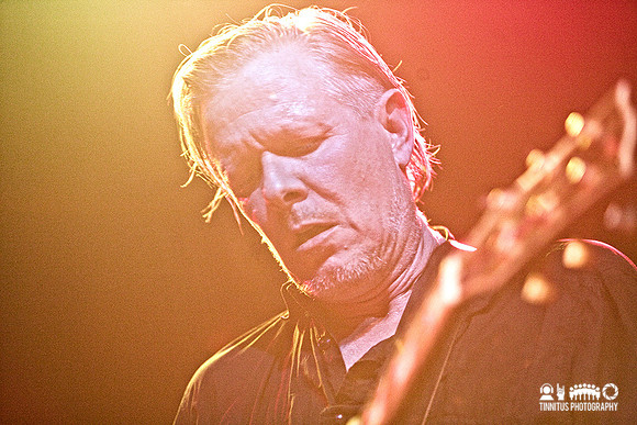 Swans in concert
