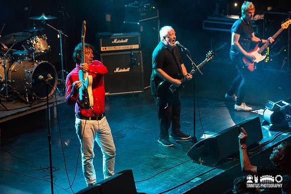 Buzzcocks in concert
