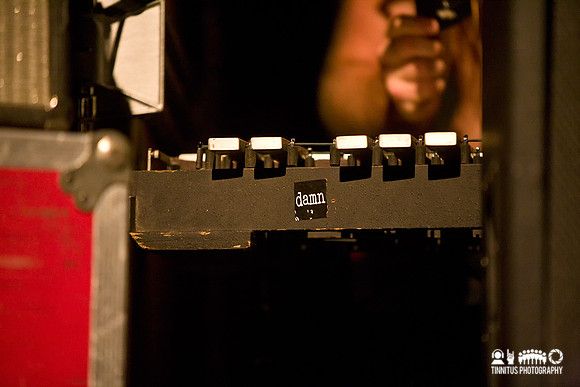 Swans in concert