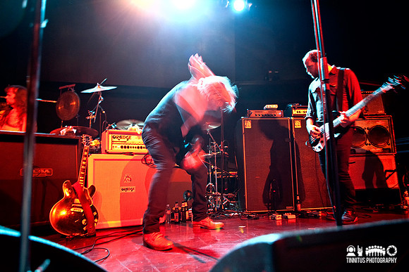 Swans in concert