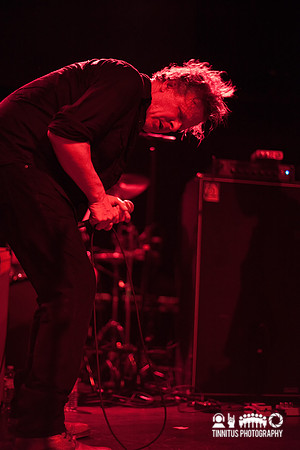 Swans in concert
