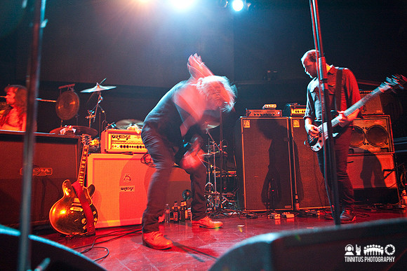 Swans in concert